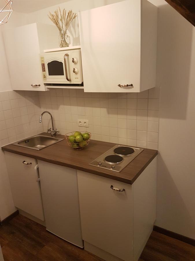 Mickey Mouse Supilova 24 Apartman Zágráb Kültér fotó