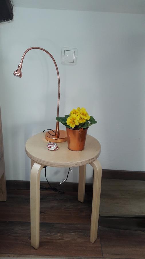 Mickey Mouse Supilova 24 Apartman Zágráb Kültér fotó