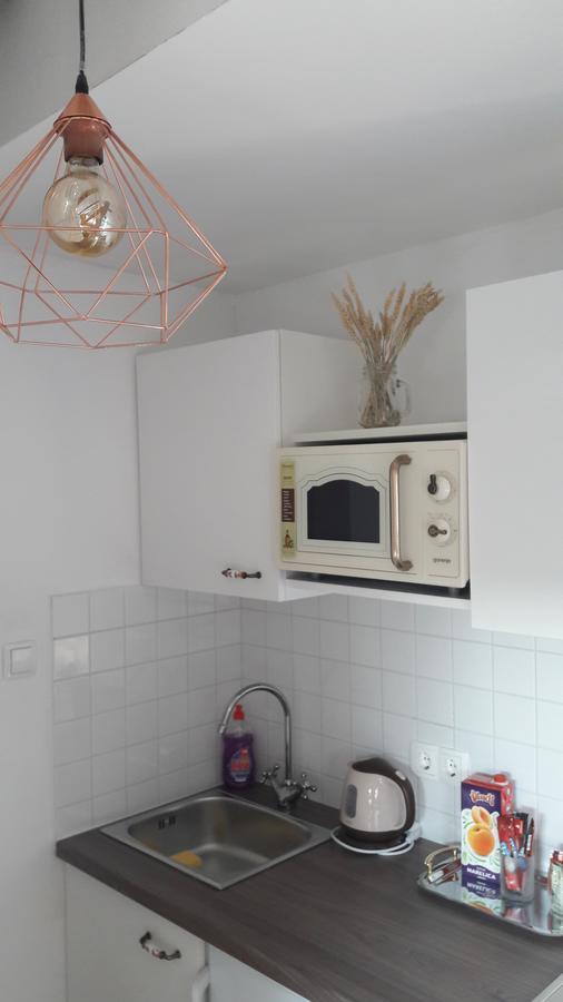 Mickey Mouse Supilova 24 Apartman Zágráb Kültér fotó