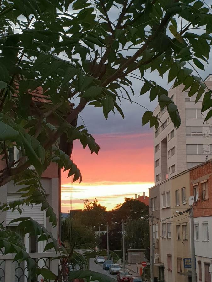 Mickey Mouse Supilova 24 Apartman Zágráb Kültér fotó